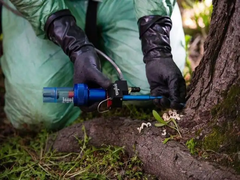 Стволовые инъекции и капельницы для деревьев